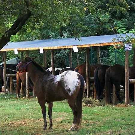 La Quiete 3* Arcugnano