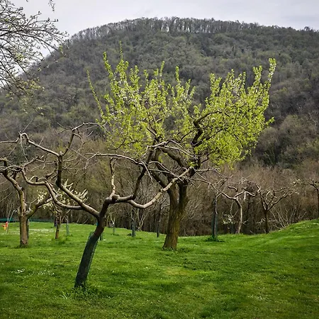 La Quiete Panzió Arcugnano