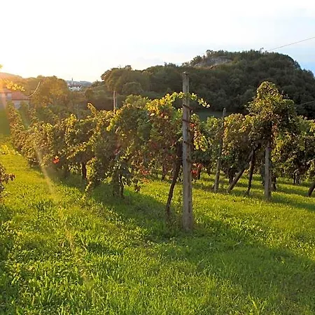 Bed & Breakfast La Quiete 3*