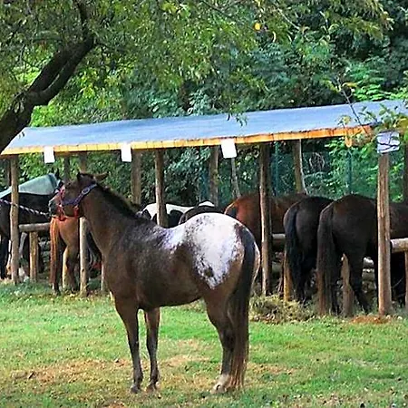 La Quiete