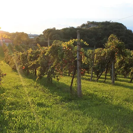 La Quiete Oda ve Kahvaltı 3*